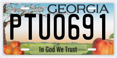 GA license plate PTU0691