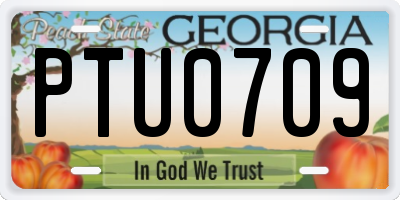 GA license plate PTU0709