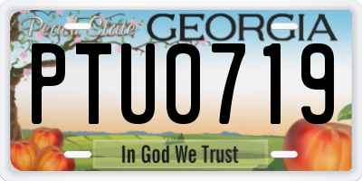 GA license plate PTU0719