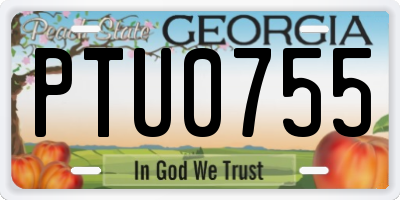 GA license plate PTU0755