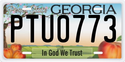 GA license plate PTU0773