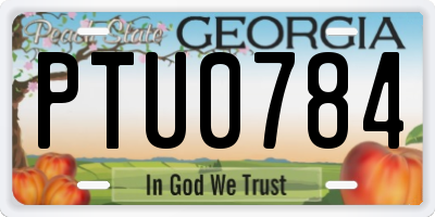 GA license plate PTU0784