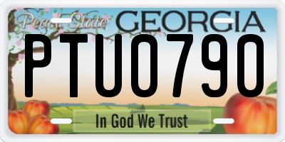 GA license plate PTU0790