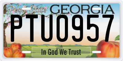 GA license plate PTU0957