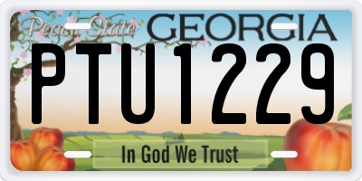GA license plate PTU1229