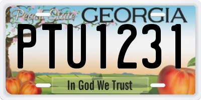GA license plate PTU1231
