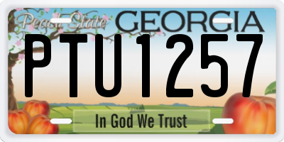 GA license plate PTU1257