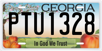 GA license plate PTU1328