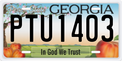 GA license plate PTU1403