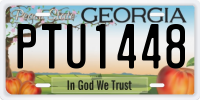 GA license plate PTU1448