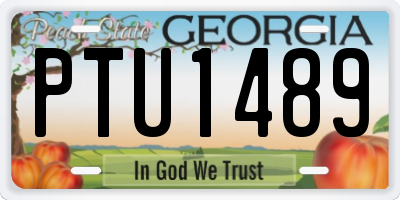 GA license plate PTU1489