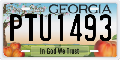 GA license plate PTU1493