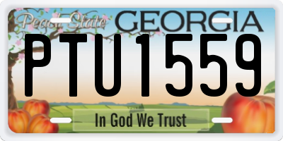 GA license plate PTU1559