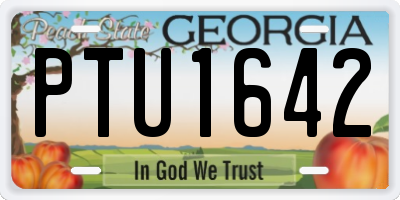 GA license plate PTU1642