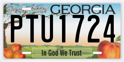 GA license plate PTU1724