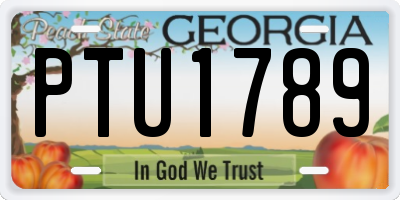 GA license plate PTU1789
