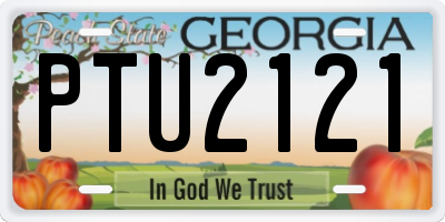 GA license plate PTU2121