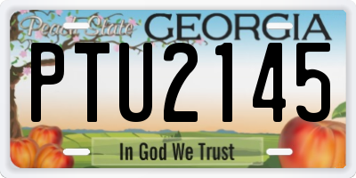 GA license plate PTU2145