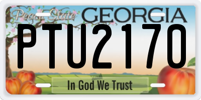 GA license plate PTU2170