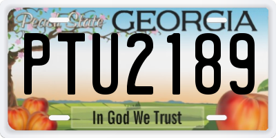 GA license plate PTU2189