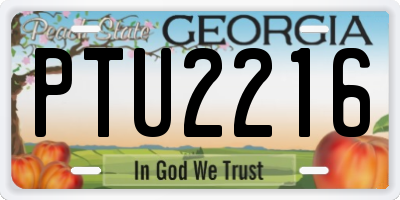 GA license plate PTU2216