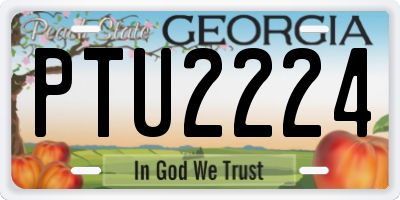 GA license plate PTU2224