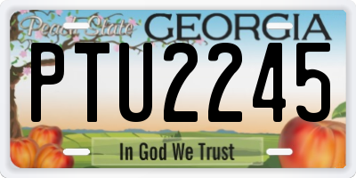 GA license plate PTU2245