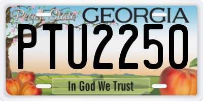 GA license plate PTU2250
