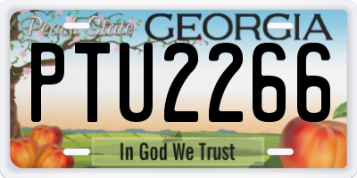GA license plate PTU2266
