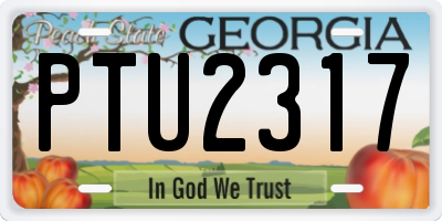 GA license plate PTU2317