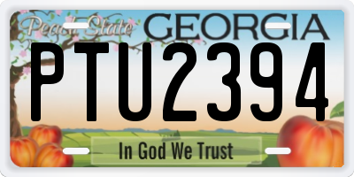 GA license plate PTU2394