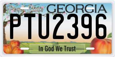 GA license plate PTU2396