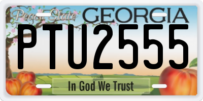 GA license plate PTU2555