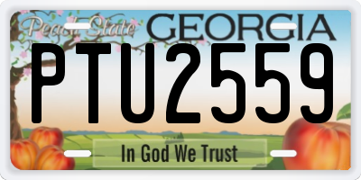 GA license plate PTU2559