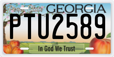 GA license plate PTU2589