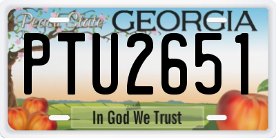 GA license plate PTU2651