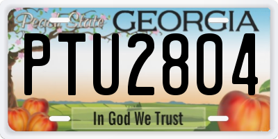 GA license plate PTU2804