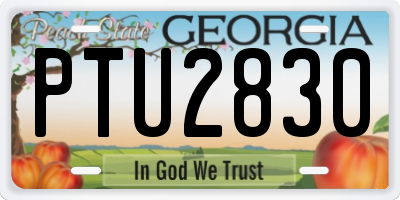 GA license plate PTU2830