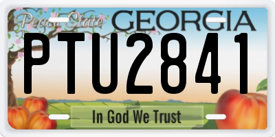 GA license plate PTU2841