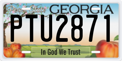 GA license plate PTU2871
