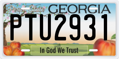 GA license plate PTU2931