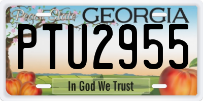 GA license plate PTU2955