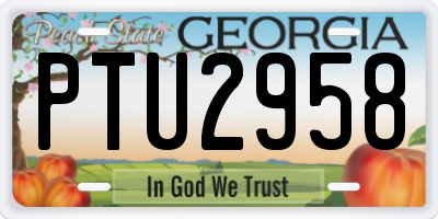 GA license plate PTU2958