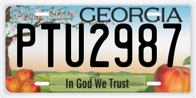 GA license plate PTU2987