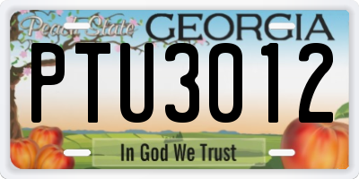 GA license plate PTU3012