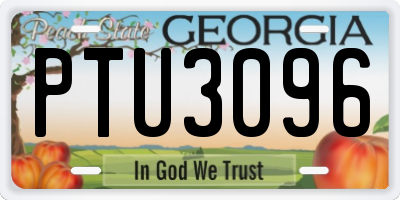 GA license plate PTU3096