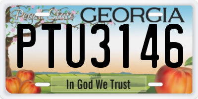 GA license plate PTU3146
