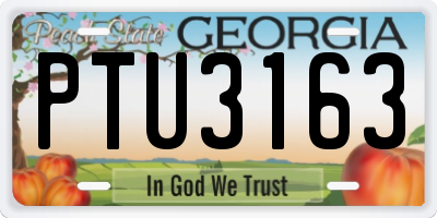 GA license plate PTU3163