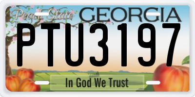 GA license plate PTU3197
