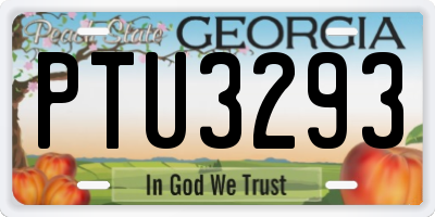 GA license plate PTU3293